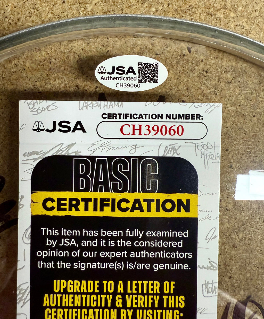 band-the-elevaters-autographed-signed-remo-drumhead-jsa-coa-jackson-blaze-link