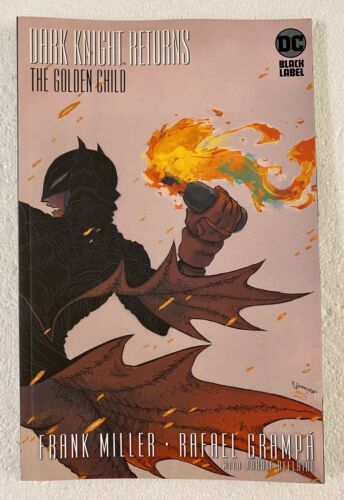 dark-knight-returns-the-golden-child-1-rafael-grampa-cover-b-variant-2019-dc