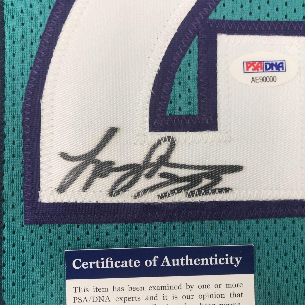 autographed-signed-larry-johnson-charlotte-teal-basketball-jersey-psa-dna-coa