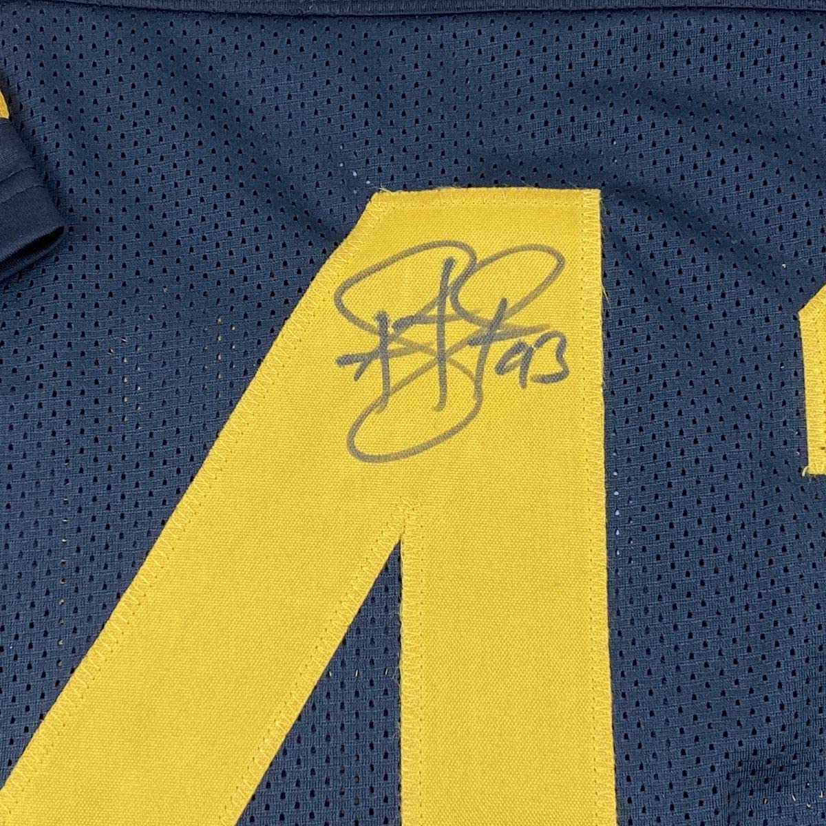 autographed-signed-troy-polamalu-pittsburgh-color-rush-football-jersey-beckett-bas-coa