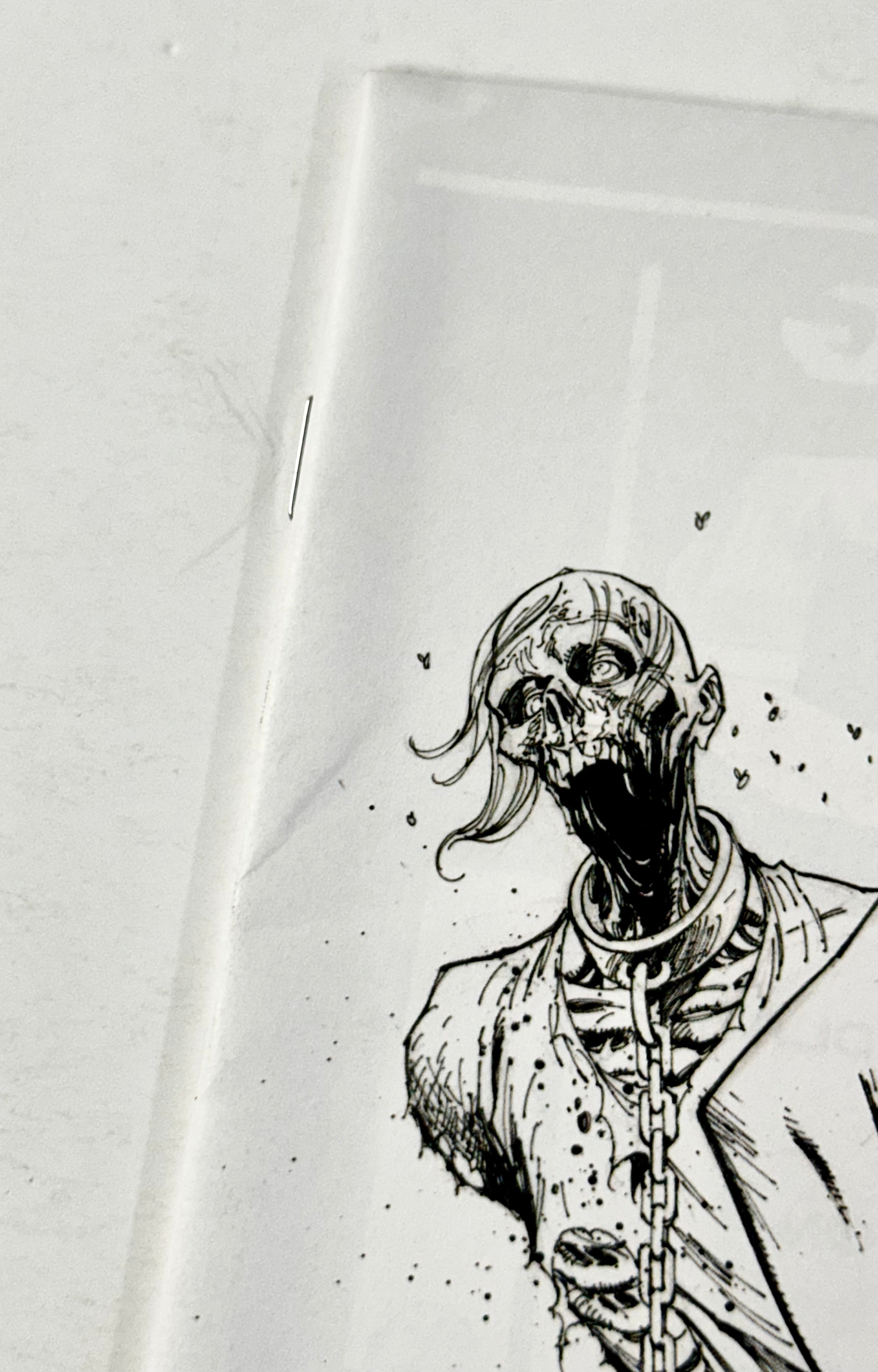 The Walking Dead #19 B&W Virgin Michonne 15th Anniversary Image Comics Campbell D