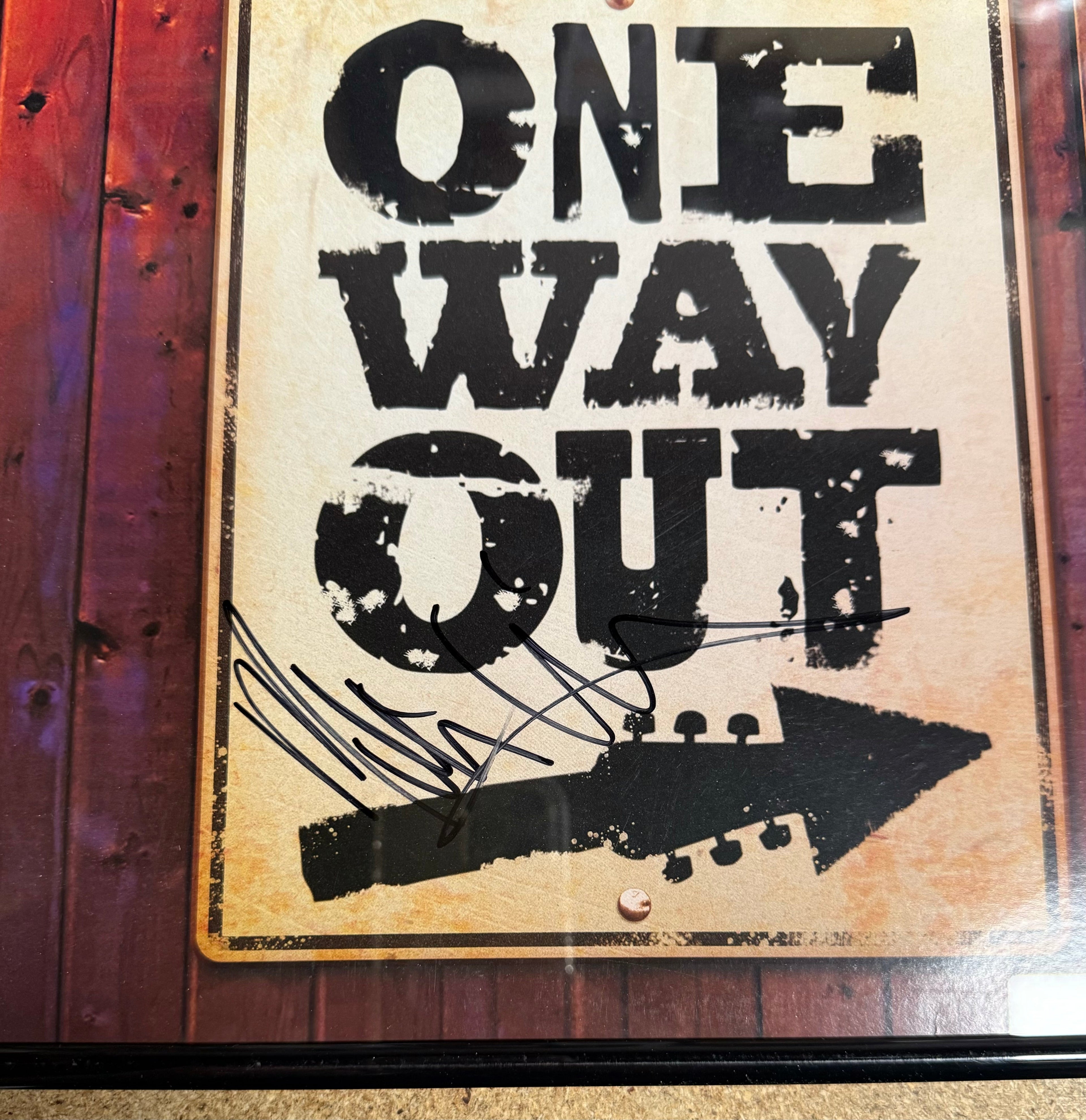 Melissa Ethridge Signed & Framed “One Way Out” Vinyl With JSA COA