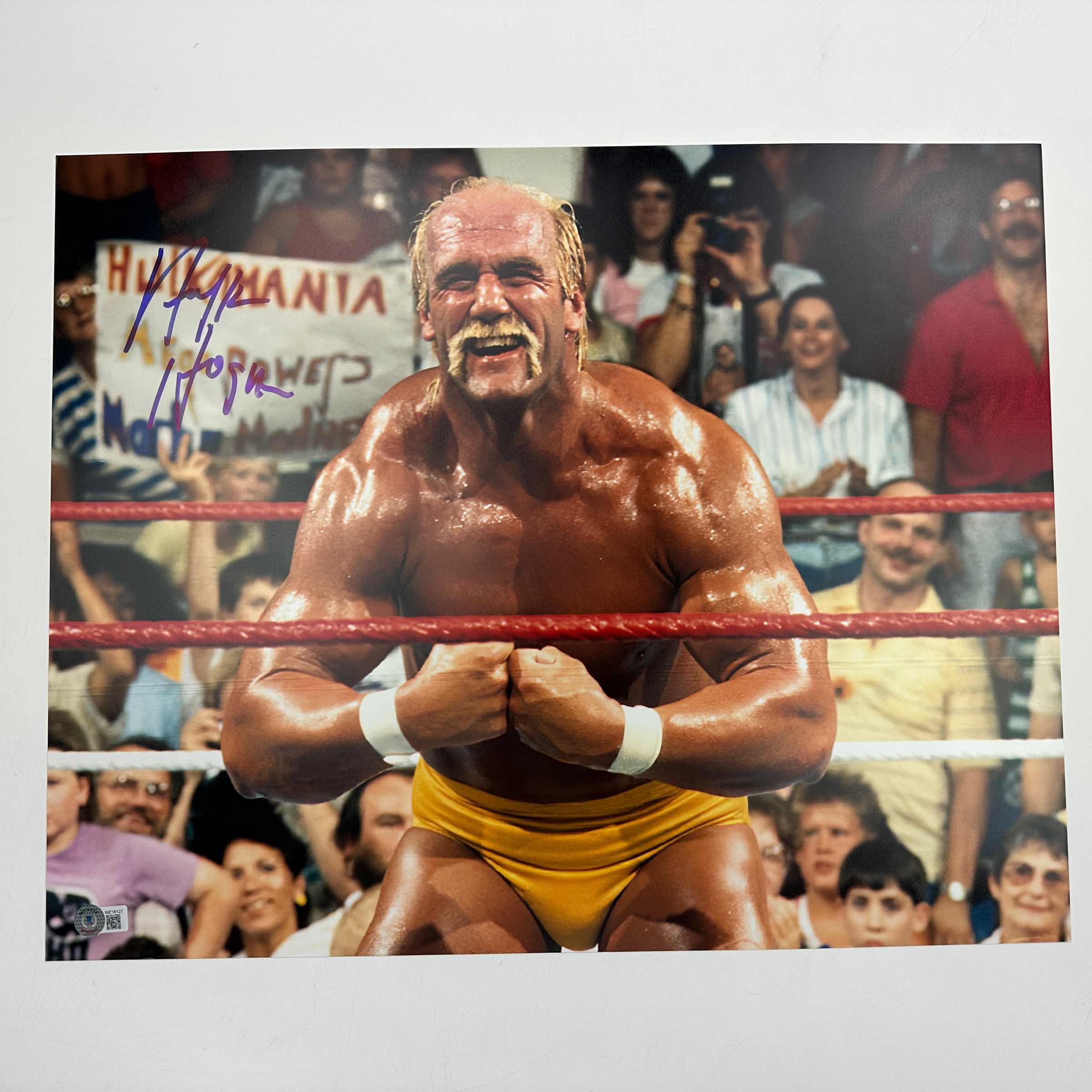 autographed-signed-hulk-hogan-16x20-wwe-wwf-hulkamania-wrestling-photo-beckett-bas-coa-12