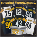 autographed-signed-pittsburgh-football-jersey-mystery-box-with-psa-jsa-or-beckett-coa