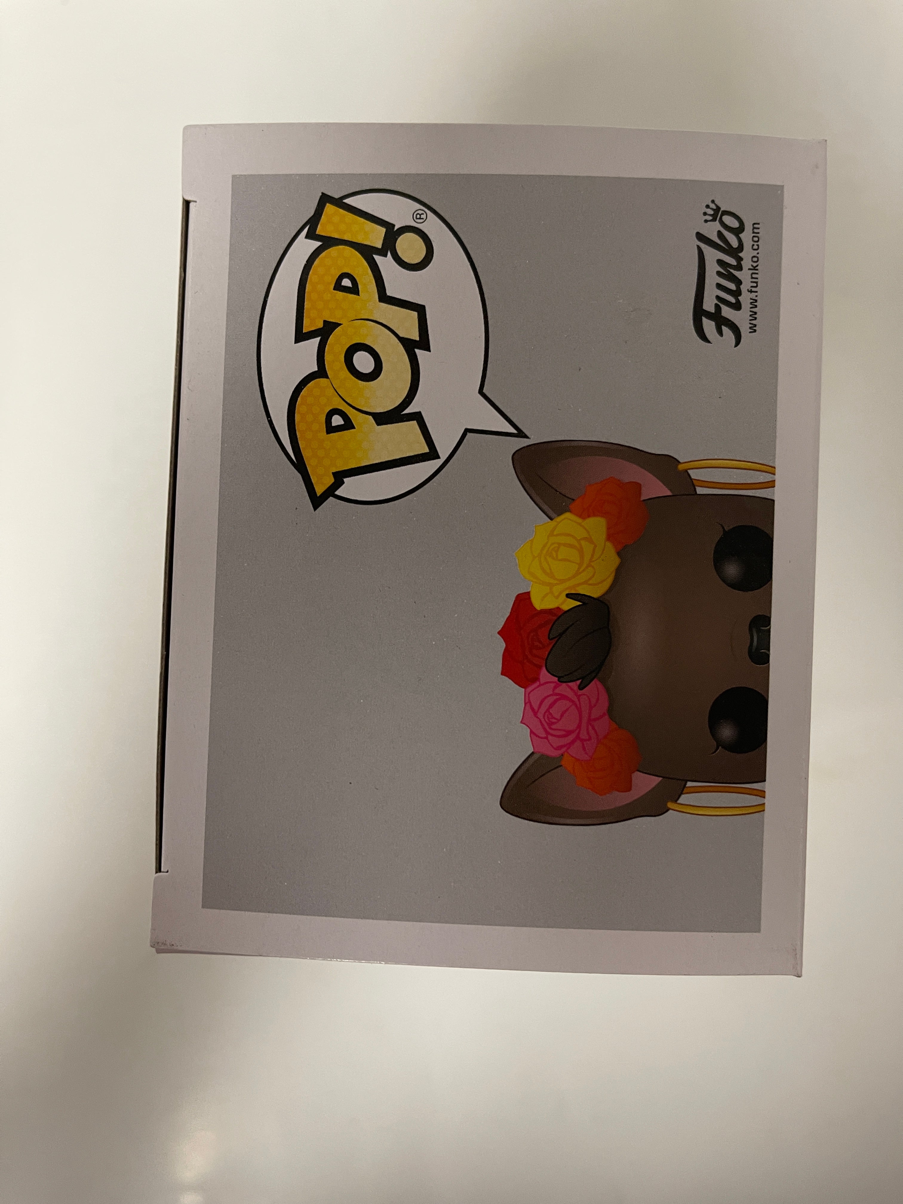 Funko Pop! Rosa (Mexico) #05 Around The World Funko Shop 2020 Exclusive