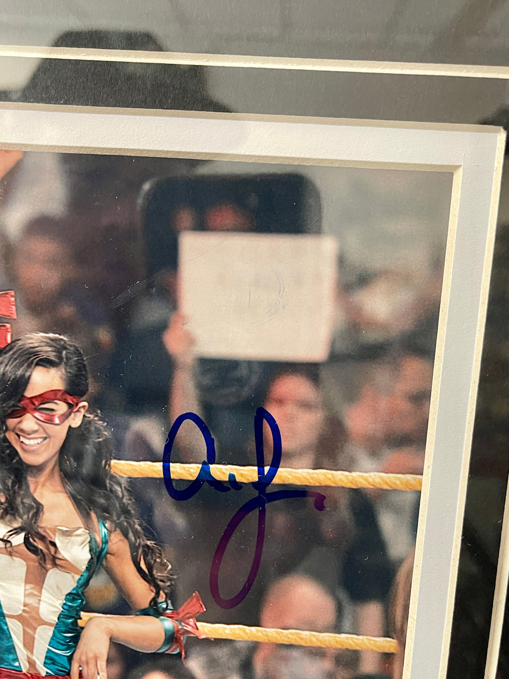 aj-lee-signed-framed-wwe-wrestling-womens-champion-diva-8x10-with-psa-dna-coa