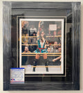 aj-lee-signed-framed-wwe-wrestling-womens-champion-diva-8x10-with-psa-dna-coa