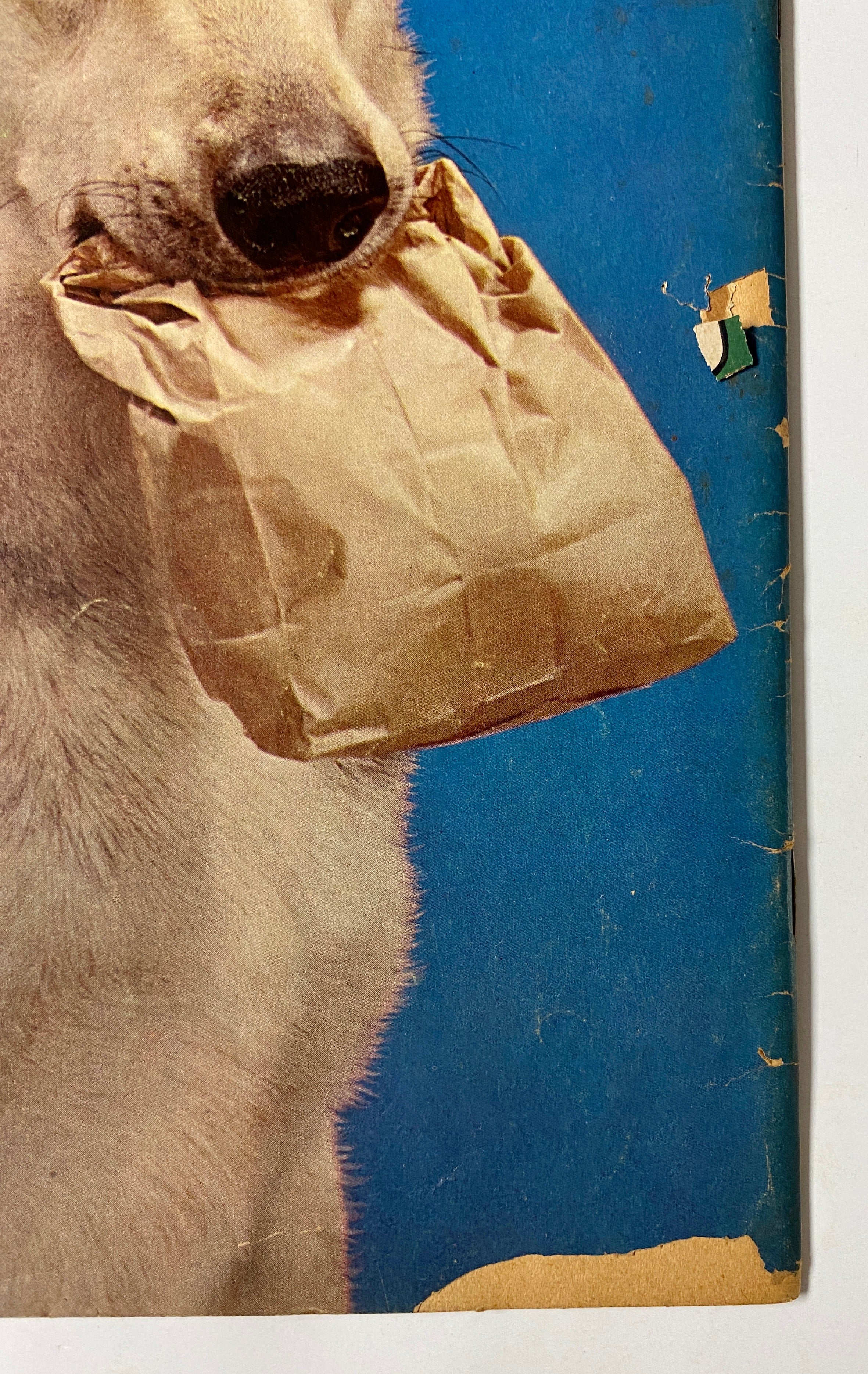 Four Color (1942) #434 Rin Tin Tin #1 Photo Cover Sparky Moore Art TV Show