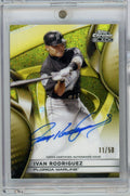 2025-topps-chrome-black-ivan-pudge-rodriguez-cba-ir-50-gold-mini-diamond-auto-baseball-card